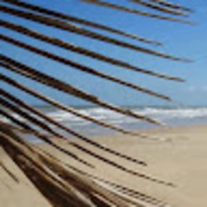 Meet your Posher, Guillaume